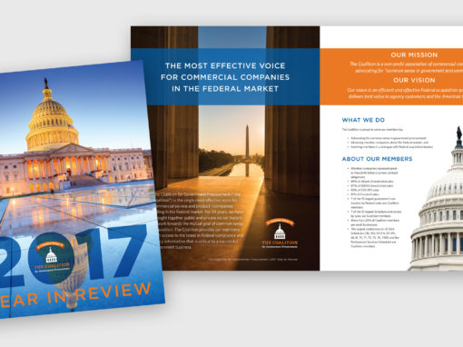 The CGP 2017 Annual Report